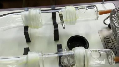 Y - şekilli olfactometer deney test Chagas hata