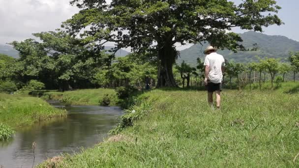 Los Tuxtlas, Veracruz, MÉXICO, 10 de julio de 2018: hombre caminando por un río en un paisaje tropical — Vídeo de stock