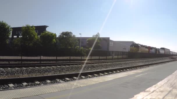 南太平洋货运列车在车站 — 图库视频影像