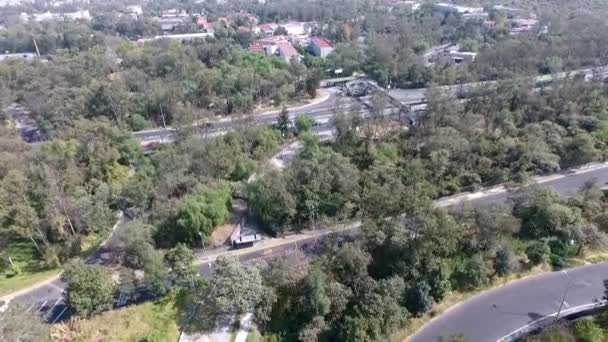 Luftaufnahme Der Allee Der Aufständischen Der Nähe Des Naturschutzgebietes Von — Stockvideo