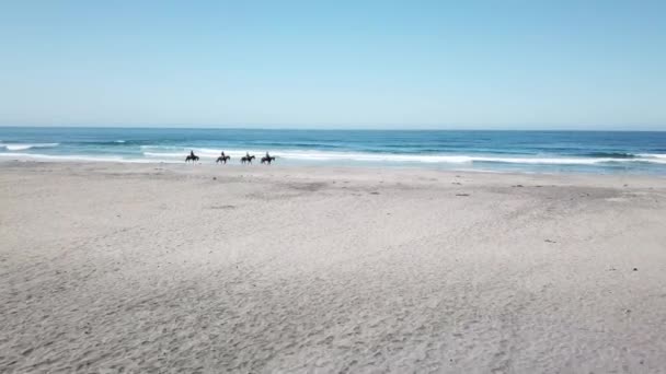 Aerial Shot Horse Riders Mexican Beach — Stock Video