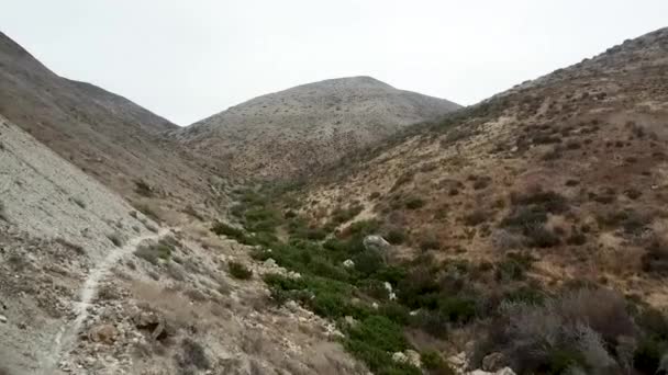 Aerial Shot Volcanic Chaparral Hills Californian Coast — Stock Video