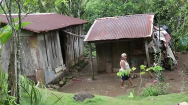 Yaşlı Meksikalı kadın ormanda ahşap bir evde yaşıyor.