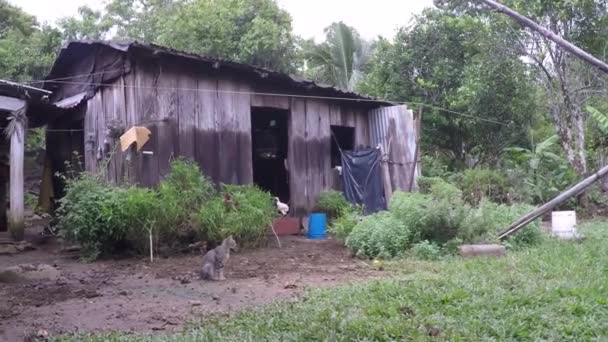 Panning Shot Van Een Traditioneel Huis Van Een Veracruzan Gemeenschap — Stockvideo