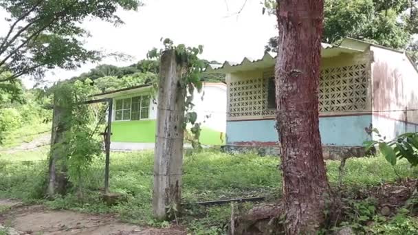 Bâtiment Communal Veracruz Mexique Pour École Les Événements — Video