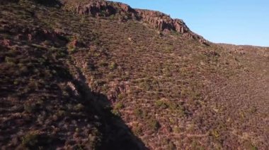 Baja California sahil dağlarının yamaçlarındaki kıyı çalılığı.