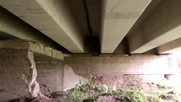 Mexicaanse Vleermuizen Proberen Rusten Onder Een Brug — Stockvideo