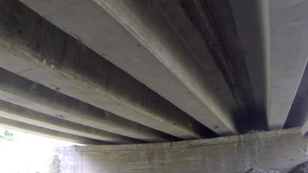 Mexikanische Fledermäuse Versuchen Sich Unter Einer Brücke Auszuruhen — Stockvideo