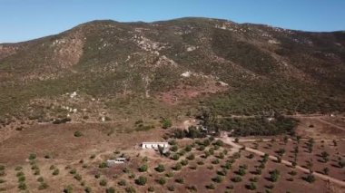 Valle de Guadalupe 'nin hava görüntüsü.