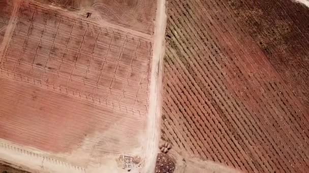Aerial Shot Baja California Vineyards — Stock Video