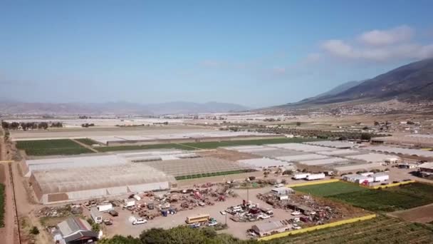 Ladang Rumah Kaca Baja California Ensenada — Stok Video