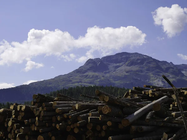 Odun yığınları mobilya motagnes ile arka planda hazır mısın