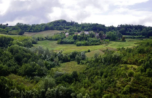 Piedmont timorasso bölgesinde yer alan güzel üzüm bağları