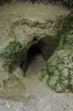Cu Chi tünelleri tünelleri, saigon şehir dışında bulunan bir büyük undreground netword vardır