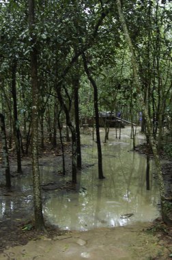 Cu Chi tünelleri tünelleri, saigon şehir dışında bulunan bir büyük undreground netword vardır