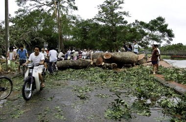 2 Ekim 2006-ton-vietnam-yollar hu muson geçişini sonra