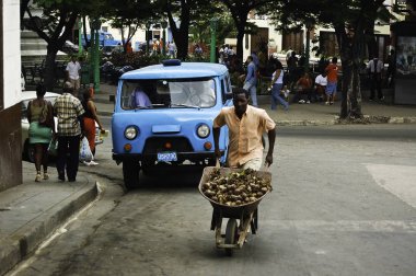erkekler bir cariola patates taşır