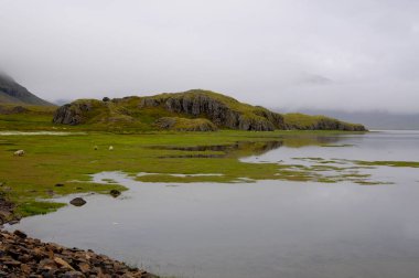 Kasvetli bir gün ile İzlanda manzarası