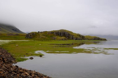 Kasvetli bir gün ile İzlanda manzarası