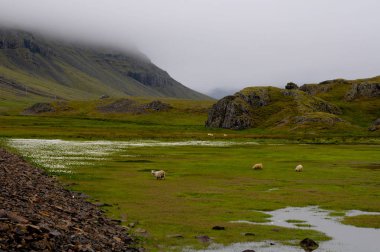 Kasvetli bir gün ile İzlanda manzarası