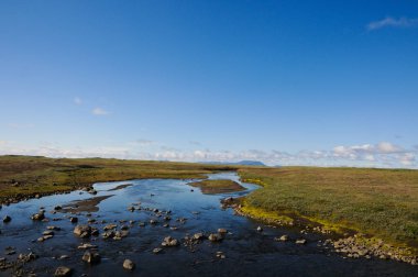 İzlanda'da nehir ile Peyzaj