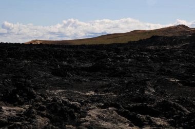 Siyah volkanik topraklara sahip İzlanda manzaraları