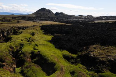 Siyah volkanik topraklara sahip İzlanda manzaraları
