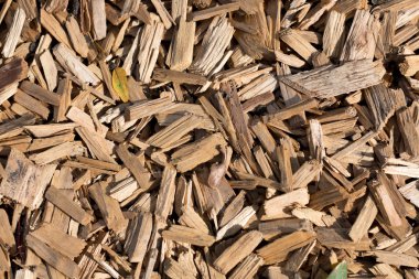 Ahşap talaş doku malzeme dokulu arka plan