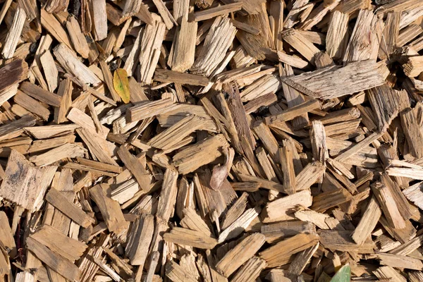 Ahşap talaş doku malzeme dokulu arka plan