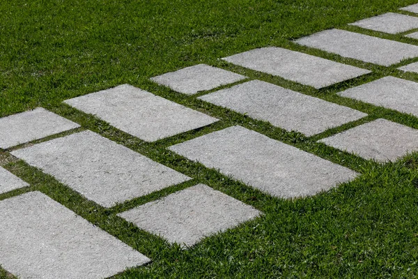 Stepping Stenen Pad Door Groene Gemaaid Gras Diagonale Manier Stockafbeelding