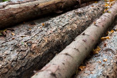 Ahşap günlükleri, çapraz çizgiler yığını dokulu arka plan