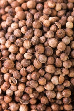 Kişniş kuru tohumlar. Cilantro baharat dokulu arka plan.