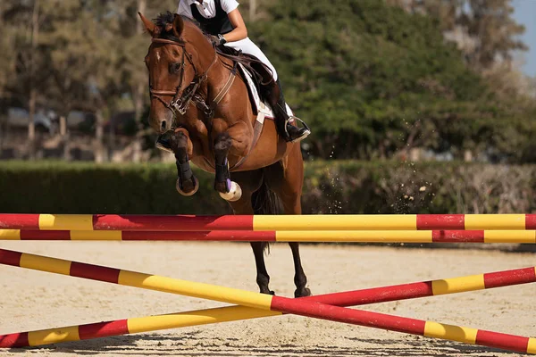 Jockey Sur Son Cheval Bondissant Par Dessus Obstacle Sautant Par — Photo