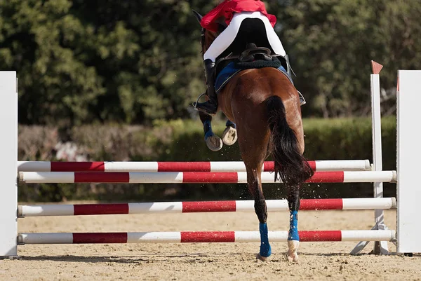 Jockey Springt Mit Pferd Über Hürde Springt Über Hürde Wettkampf — Stockfoto