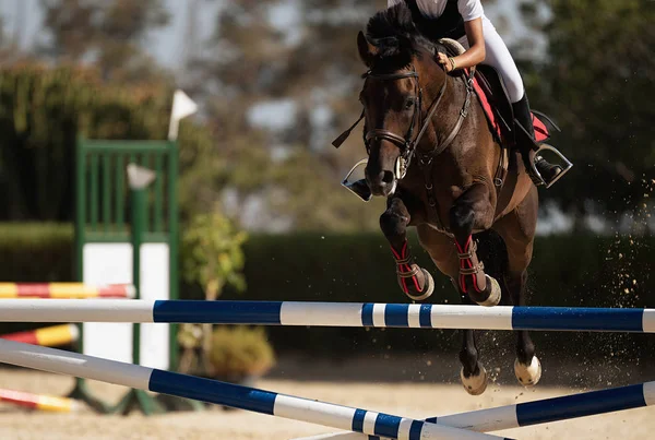 Jockey Sur Son Cheval Bondissant Par Dessus Obstacle Sautant Par — Photo