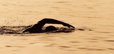 Siluet adam triatlon Demir Adam yüzücüleri