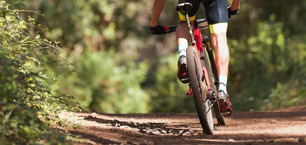 Ciclista Montaña Caballo Bicicleta Sendero Una Sola Pista Carrera Bicicleta —  Fotos de Stock