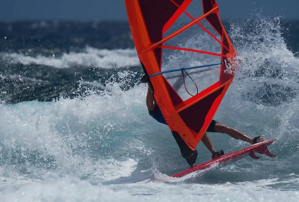 Professional windsurfer riding high waves at sunny windy day