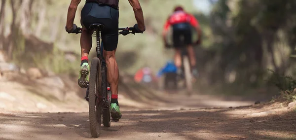 Atletas Mountain Bike Trilha Florestal Corrida Mountain Bike — Fotografia de Stock