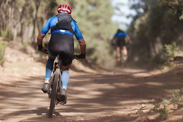 Athletes mountain biking on forest trail, mountain bike race