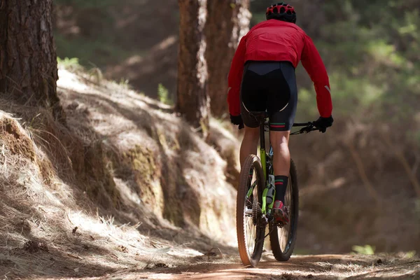 夏の山の森の風景の中で自転車に乗るマウンテンバイクの男 — ストック写真