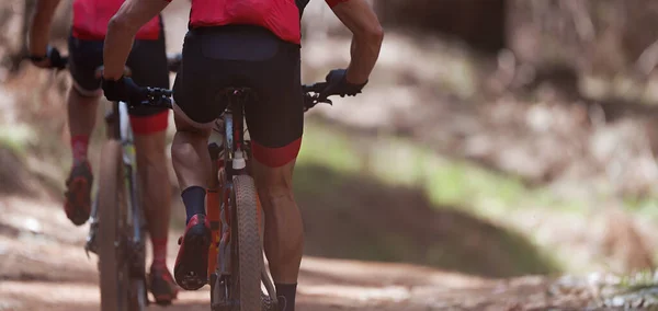 Athletes mountain biking on forest trail, mountain bike race