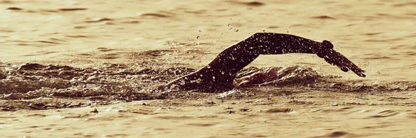 Sziluett Férfi Triatlon Vas Ember Sportoló Úszók Úszás — Stock Fotó