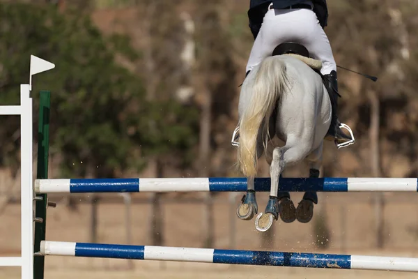 Jockey Sobre Caballo Saltando Sobre Obstáculo Saltando Sobre Obstáculo Competencia —  Fotos de Stock