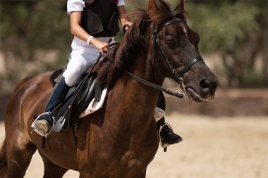 At biniciliği, atlı çocuk ata biniyor.