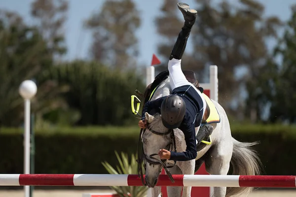 Caballo Espectáculo Salto Accidente Joven Jinete Cayendo Caballo Durante Una —  Fotos de Stock