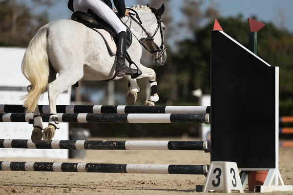 Sport Horse Jumping Barrier Obstacle Course — Stock Photo, Image