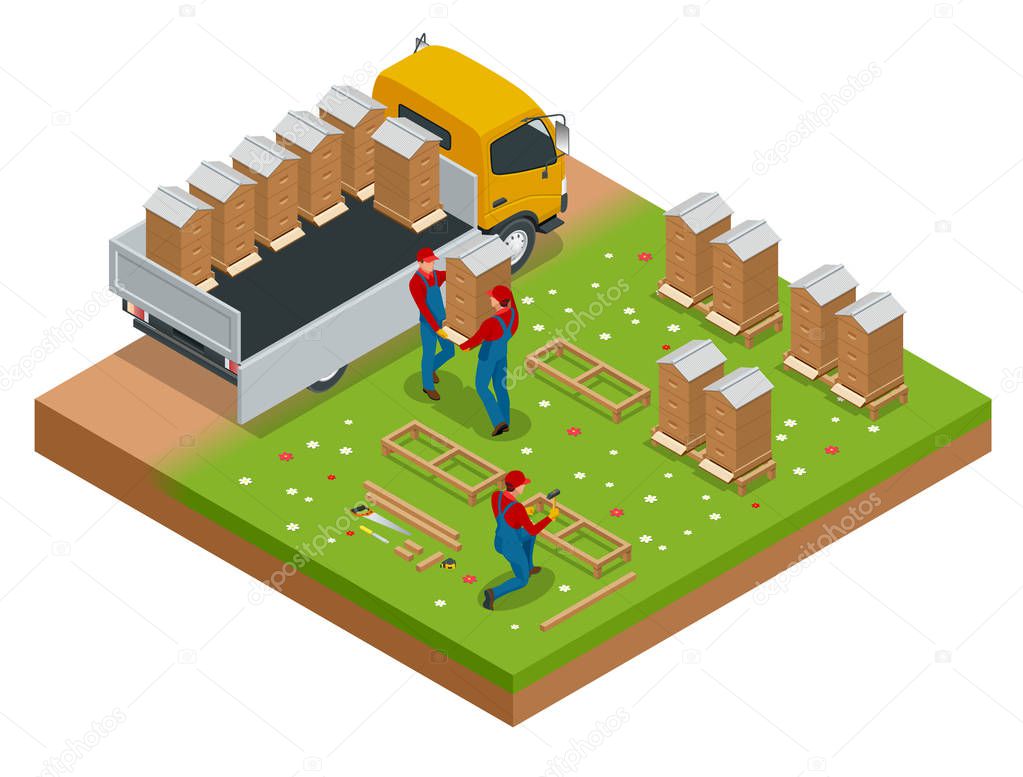 Isometric Hives in an apiary with bees. Hives in an apiary with bees flying to the landing boards in a green garden.