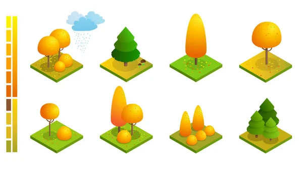 Isométricas coloridas árvores de outono conjunto. Amarelo laranja queda árvore e jardim outonal ilustração plana. Para infográficos, jogos e design — Vetor de Stock