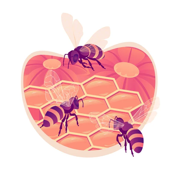 Οι μέλισσες στη χτένα απομονωμένες ισομετρική εικονογράφηση διάνυσμα. Κλειστές κυψέλες. Οι μέλισσες σέρνεται στην κηρήθρα. — Διανυσματικό Αρχείο